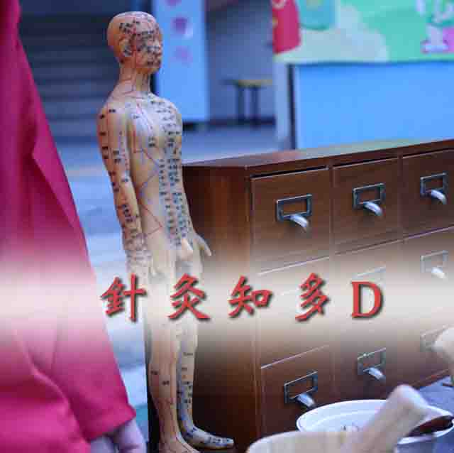 針灸知多 D